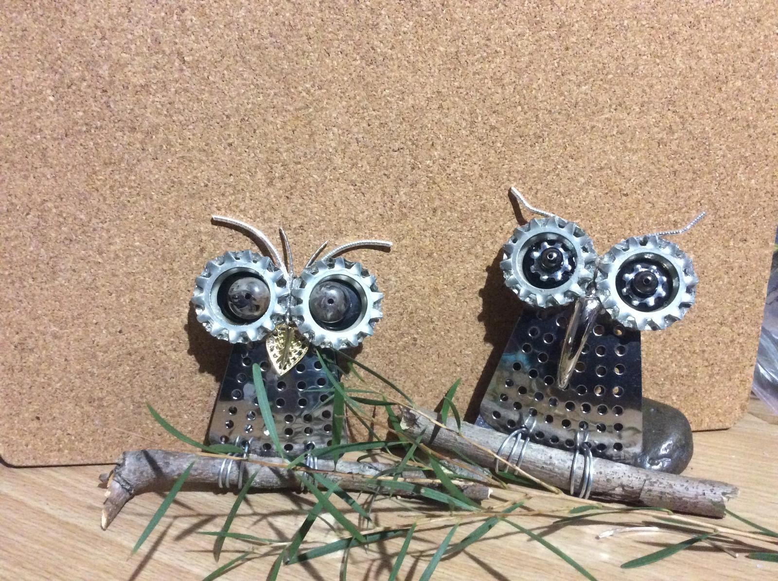 Two owls