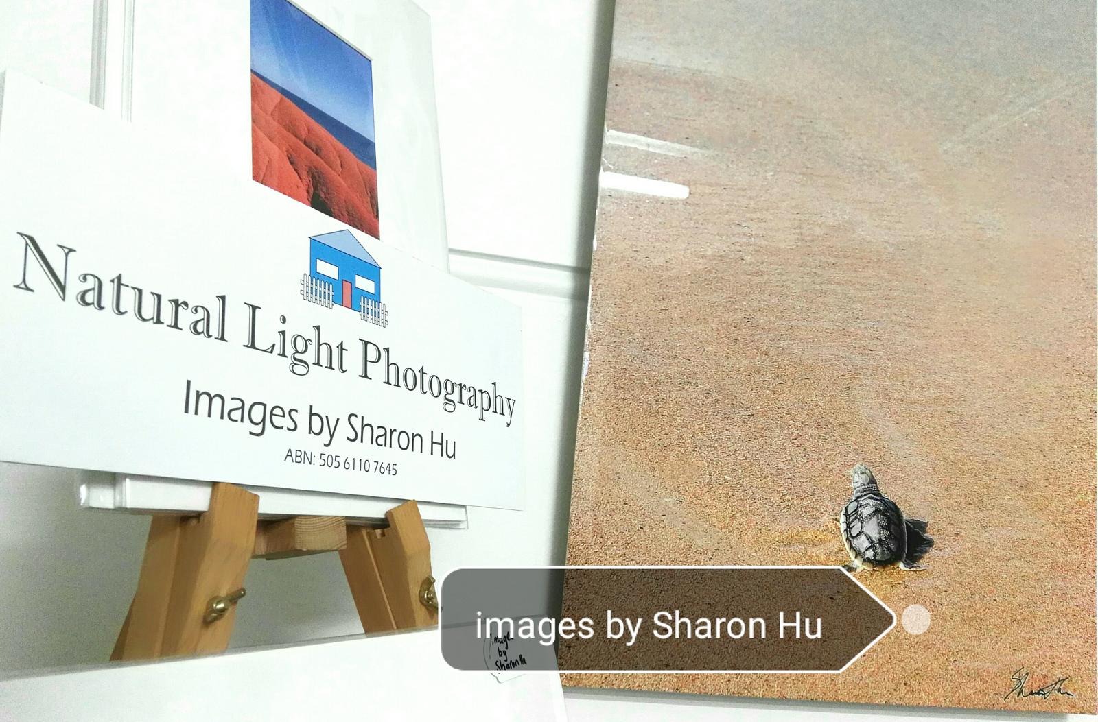 Natural Light Photography by Sharon Hu