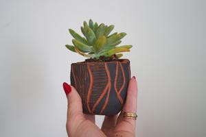 Nellie-Mae's Pinch Pots