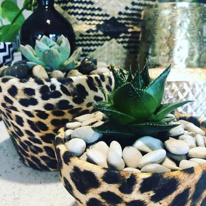 NicNoksPots