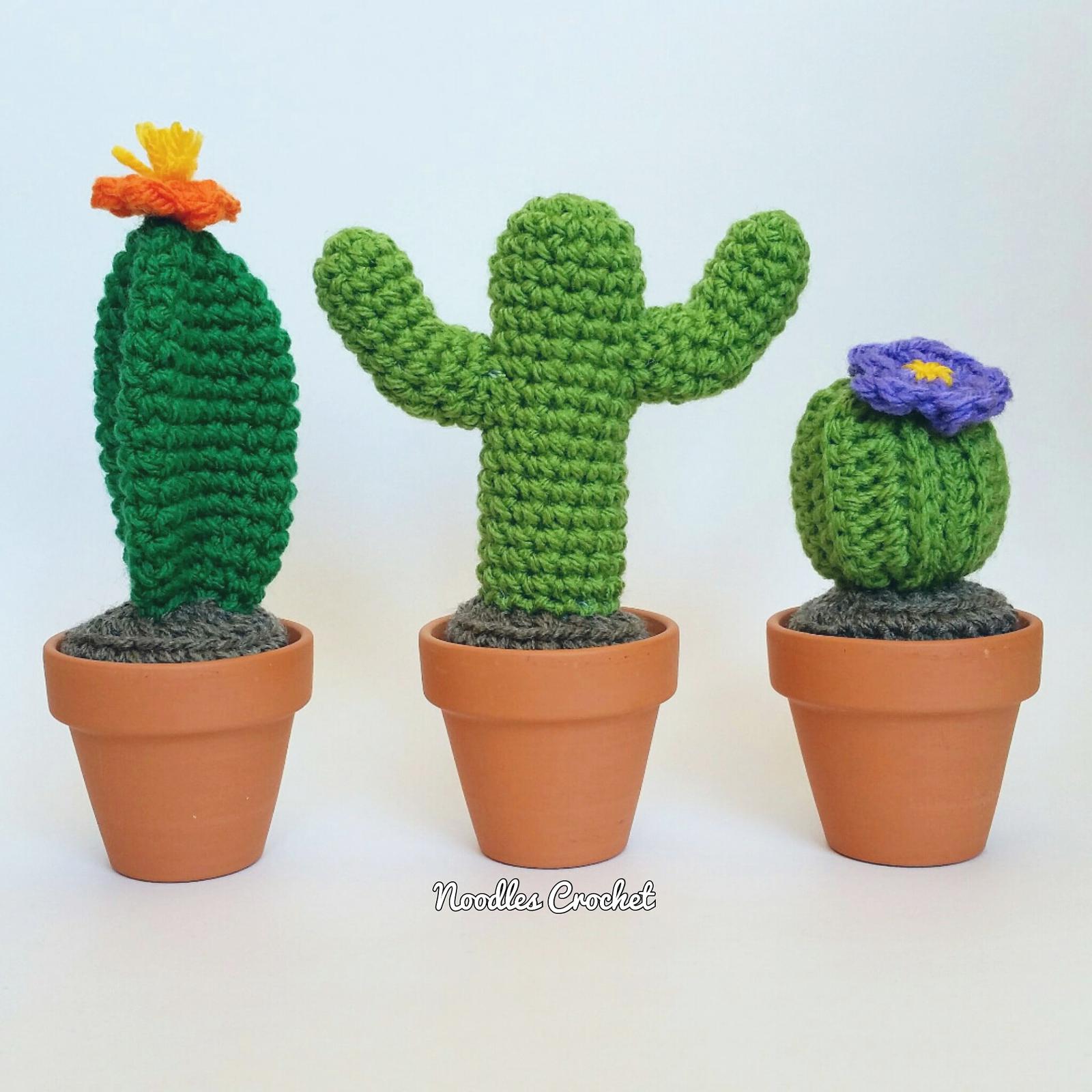 Cacti