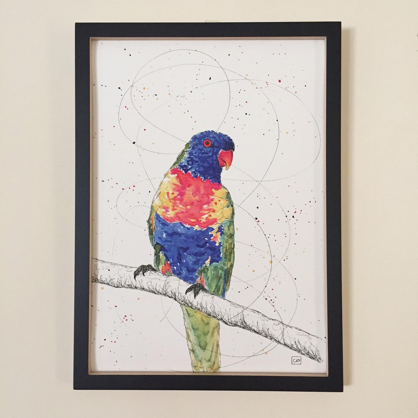 Larry, Rainbow Lorikeet • A3 print