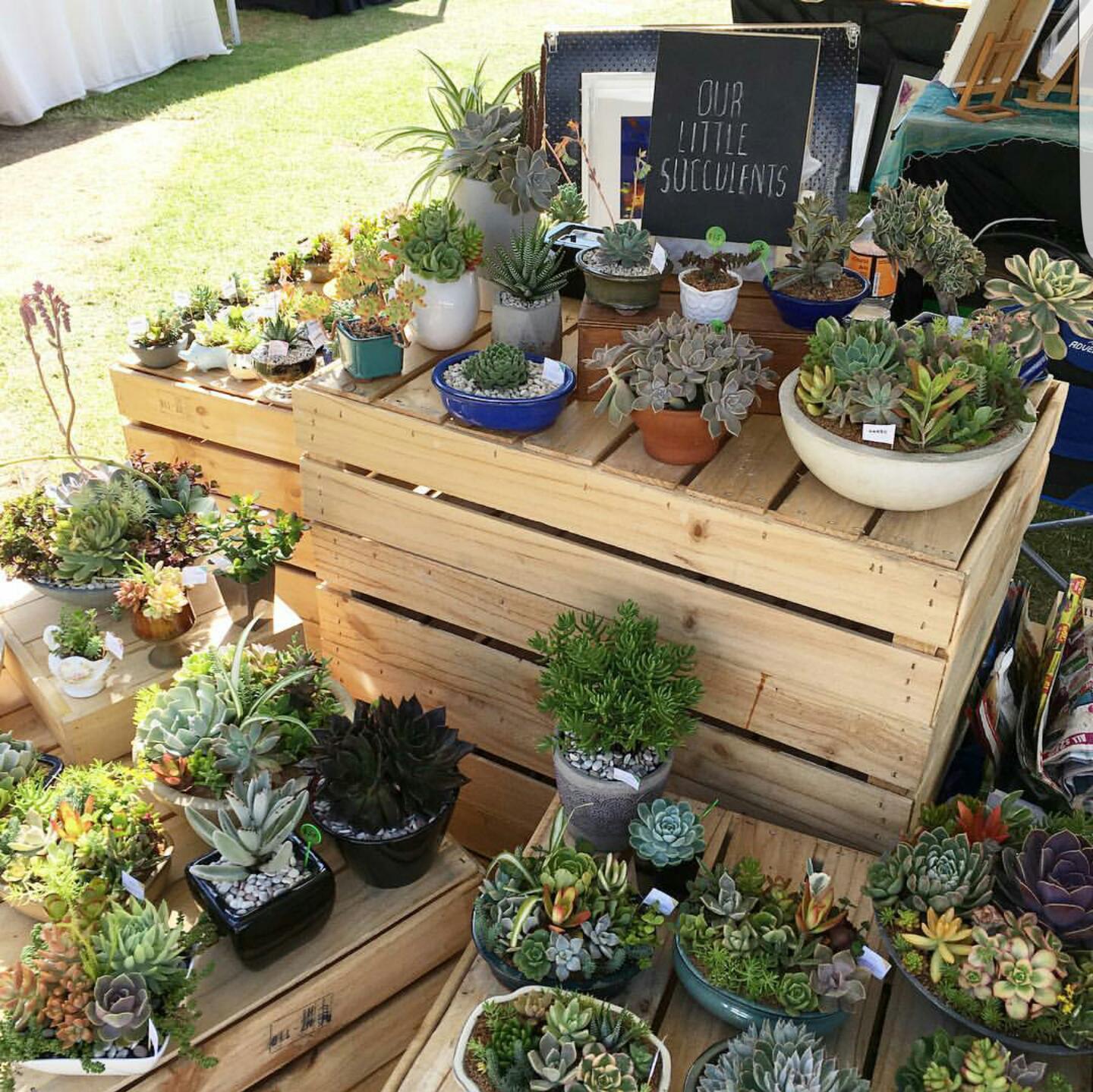 Stall set up