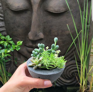 Small concrete bowl