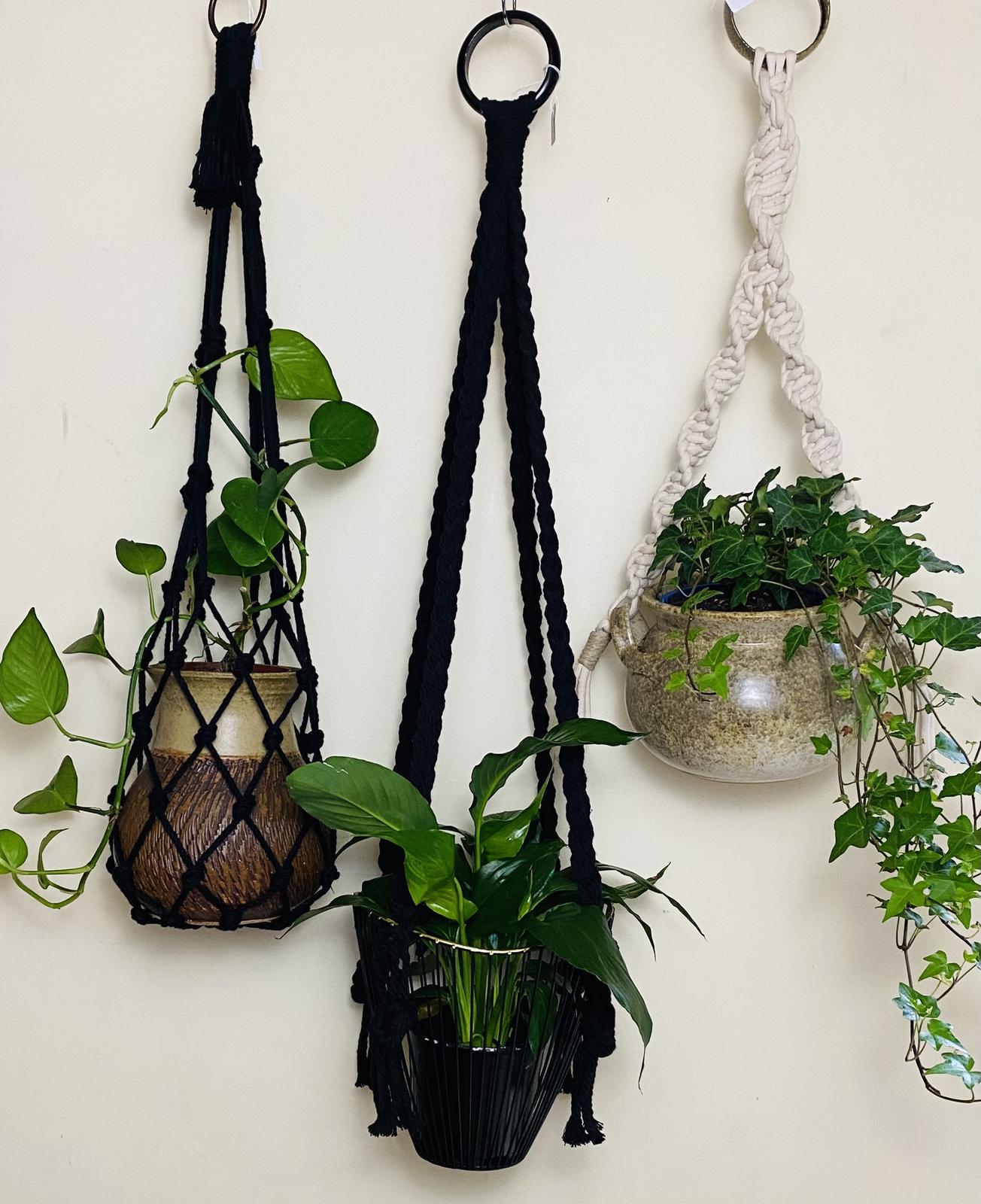 Macrame plant hangers