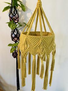 Pacific Knot