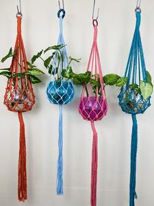 Pacific Knot