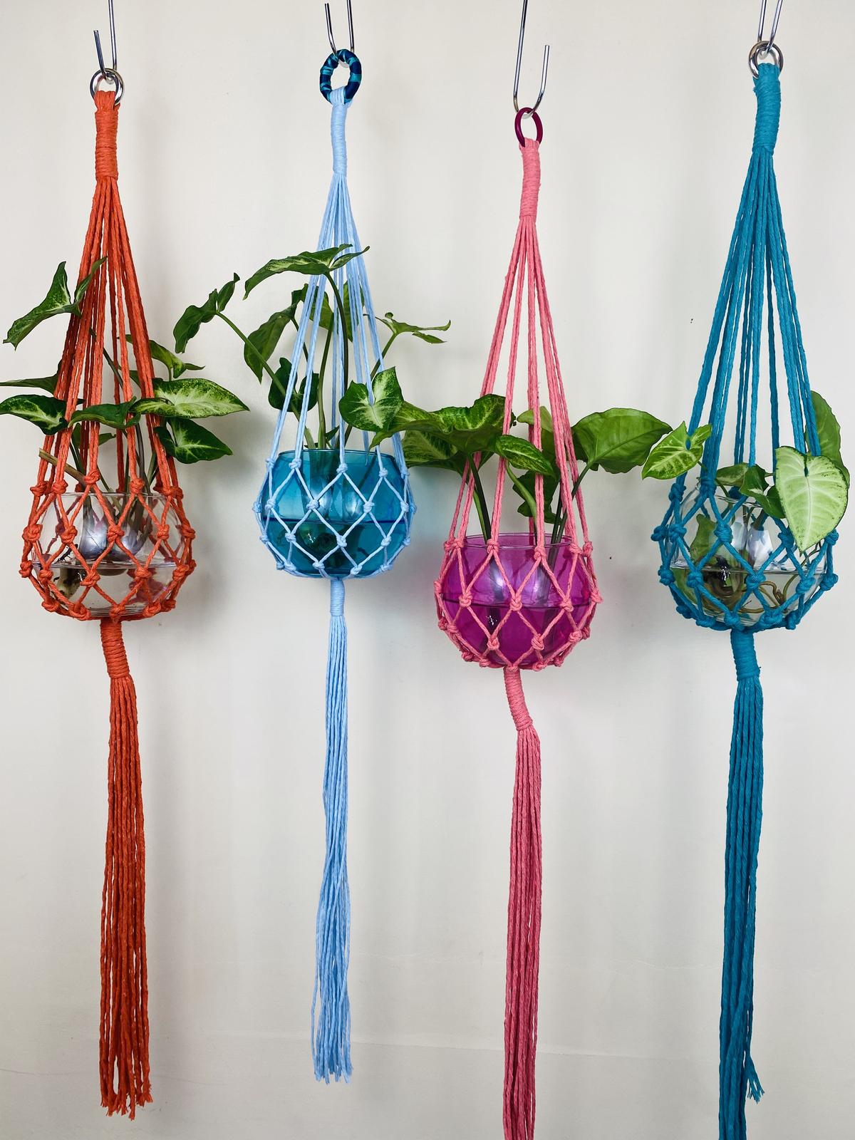 Water plant hangers