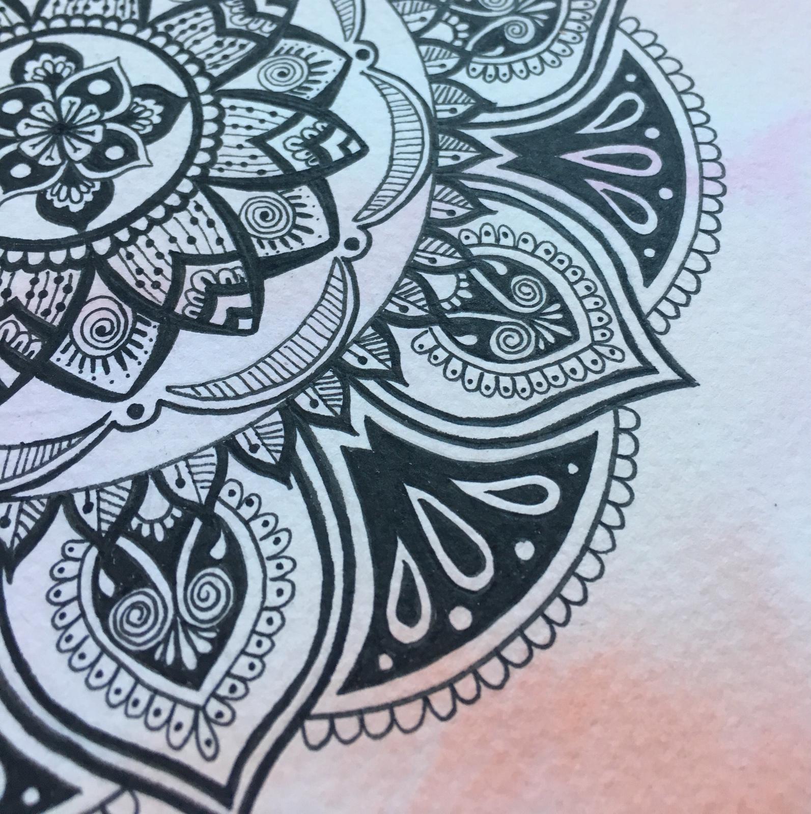 Close up shot