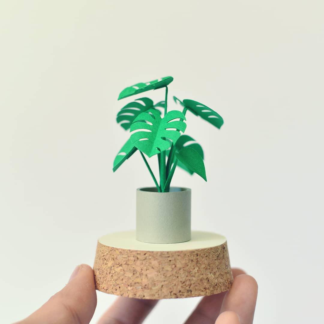 Paper Monstera