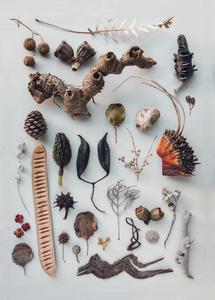 Pattern hunters