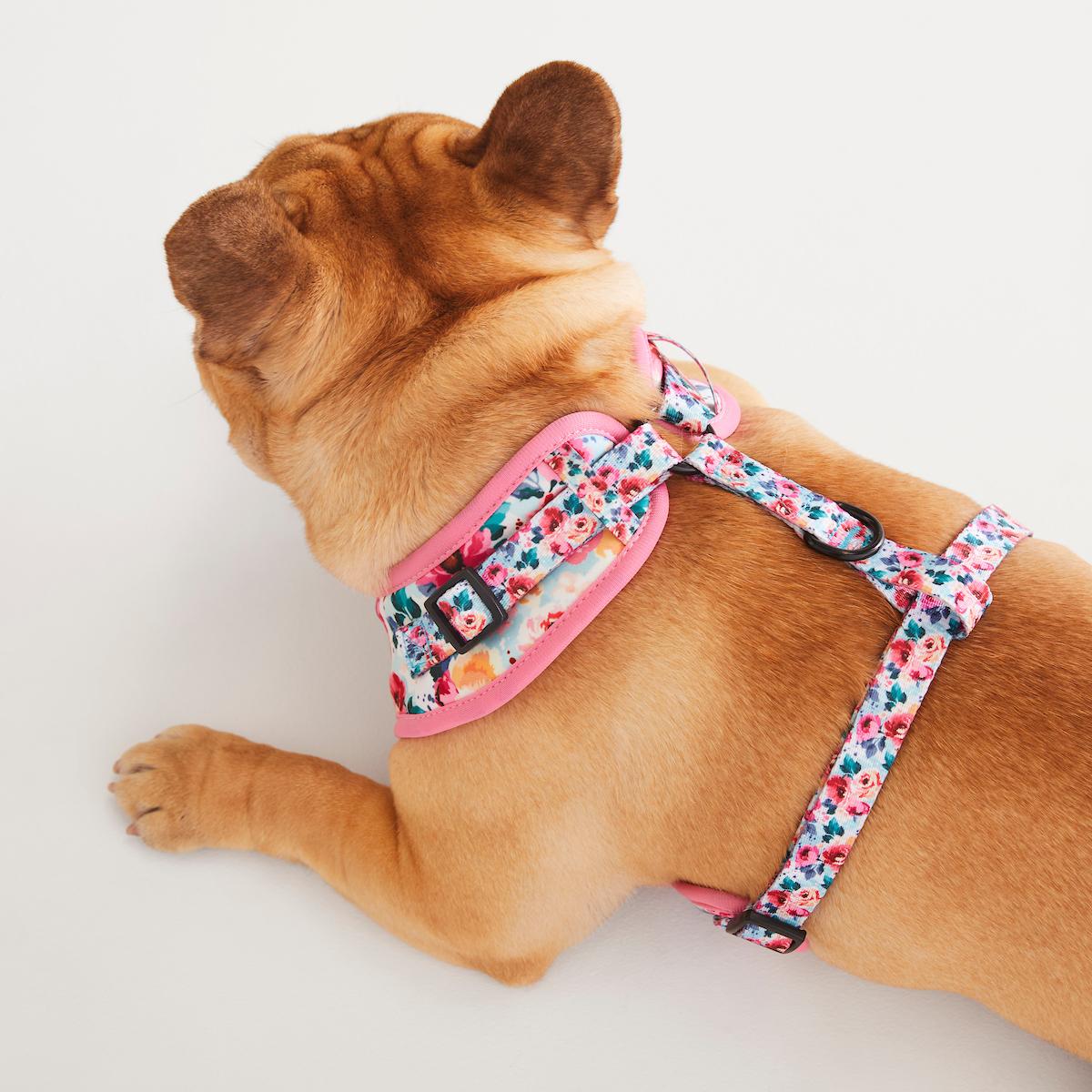 Adjustable Harness