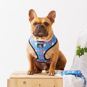 Paws Pet Wear