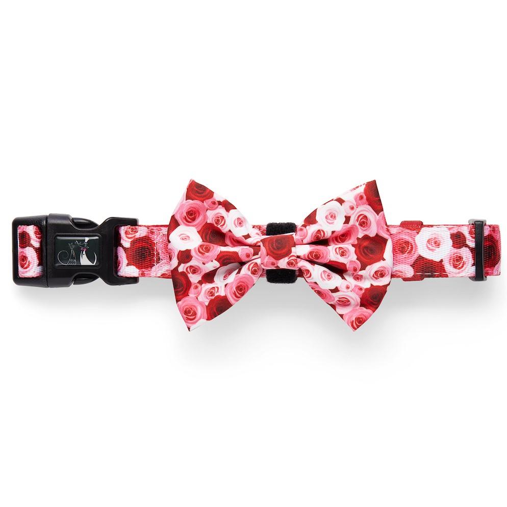 Feeling Rosé Collar and Bow