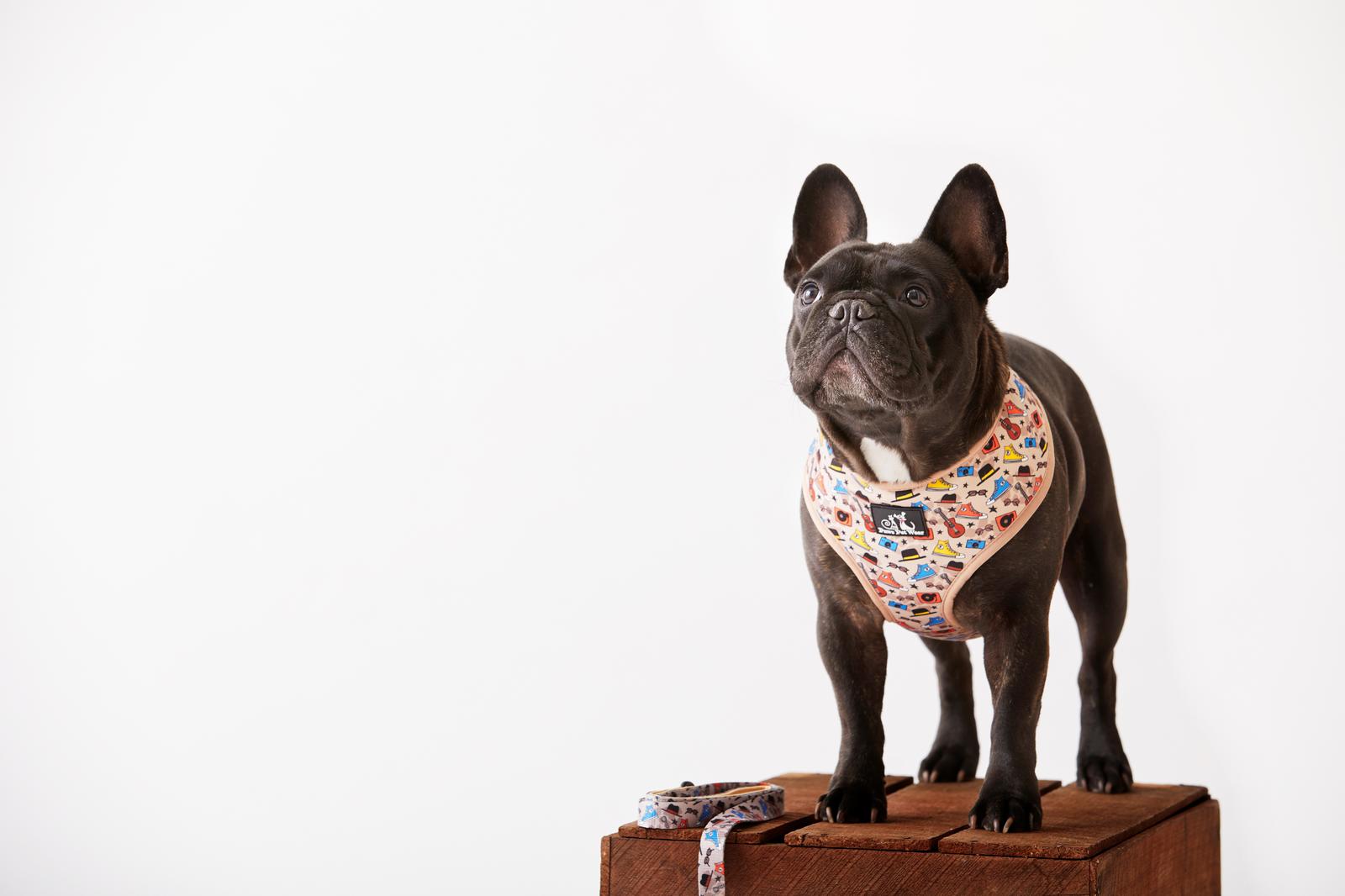 Paws Pet Wear Hipster Please! Harness