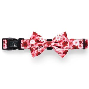 Paws Pet Wear