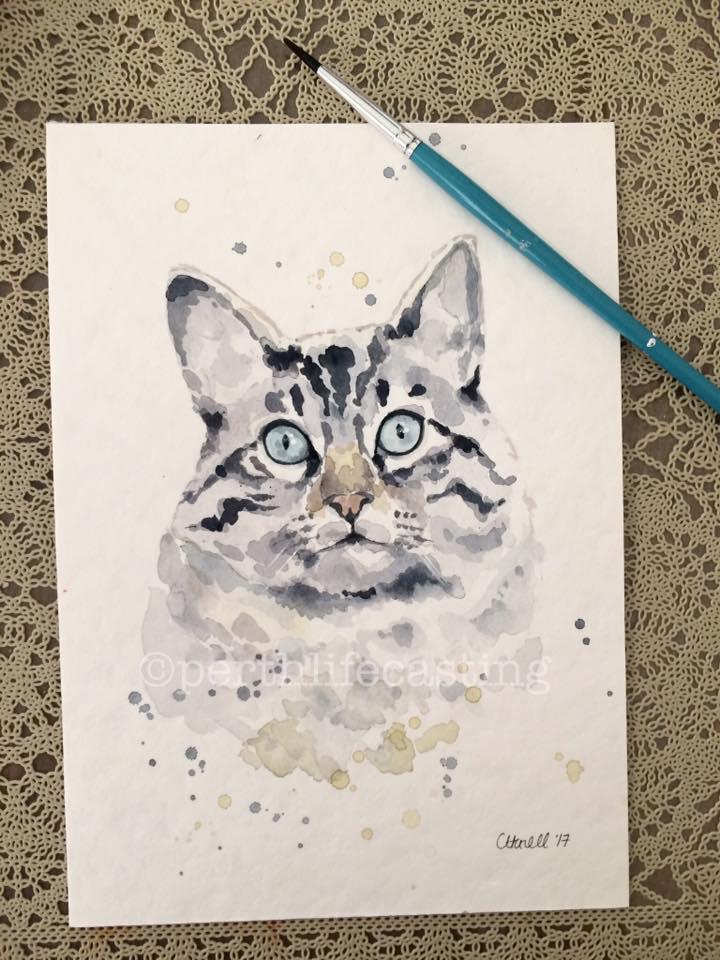 Custom Pet Portrait Cat