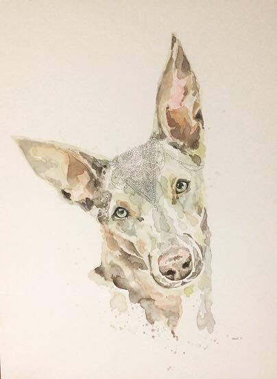 Custom Pet Portrait