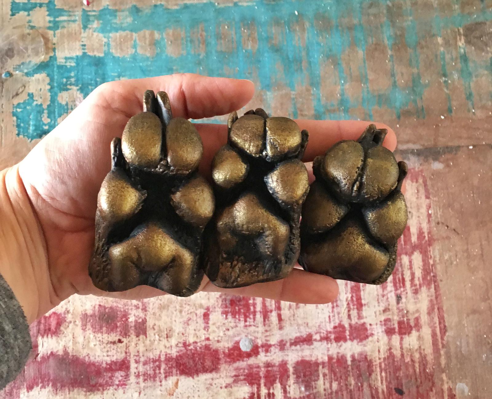 Paw Casts - Gold
