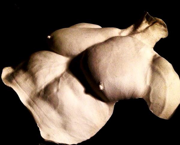 High Definition Torso Body Builder