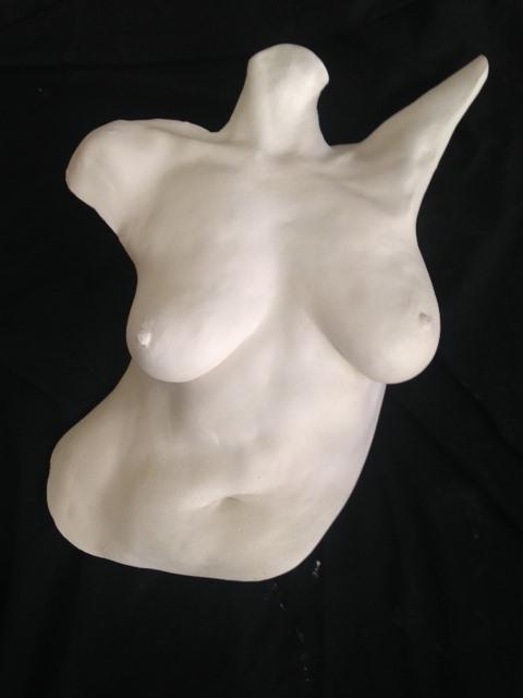 High Definition Torso Cast