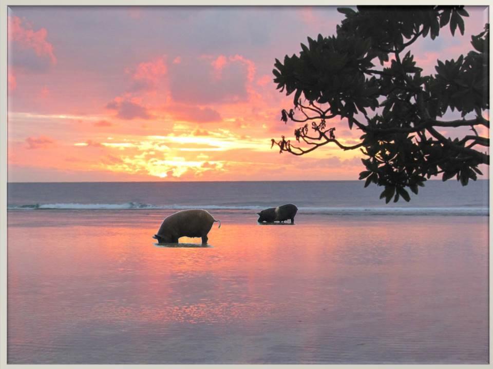 Tongan sunset