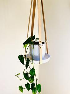 Pip & Rose Design