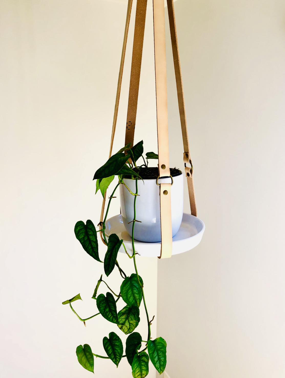 Handmade leather plant hangers