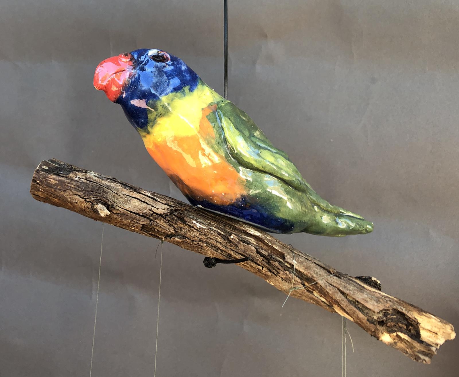 Rainbow Lorrikeet