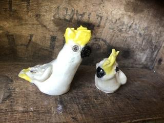 Galahs