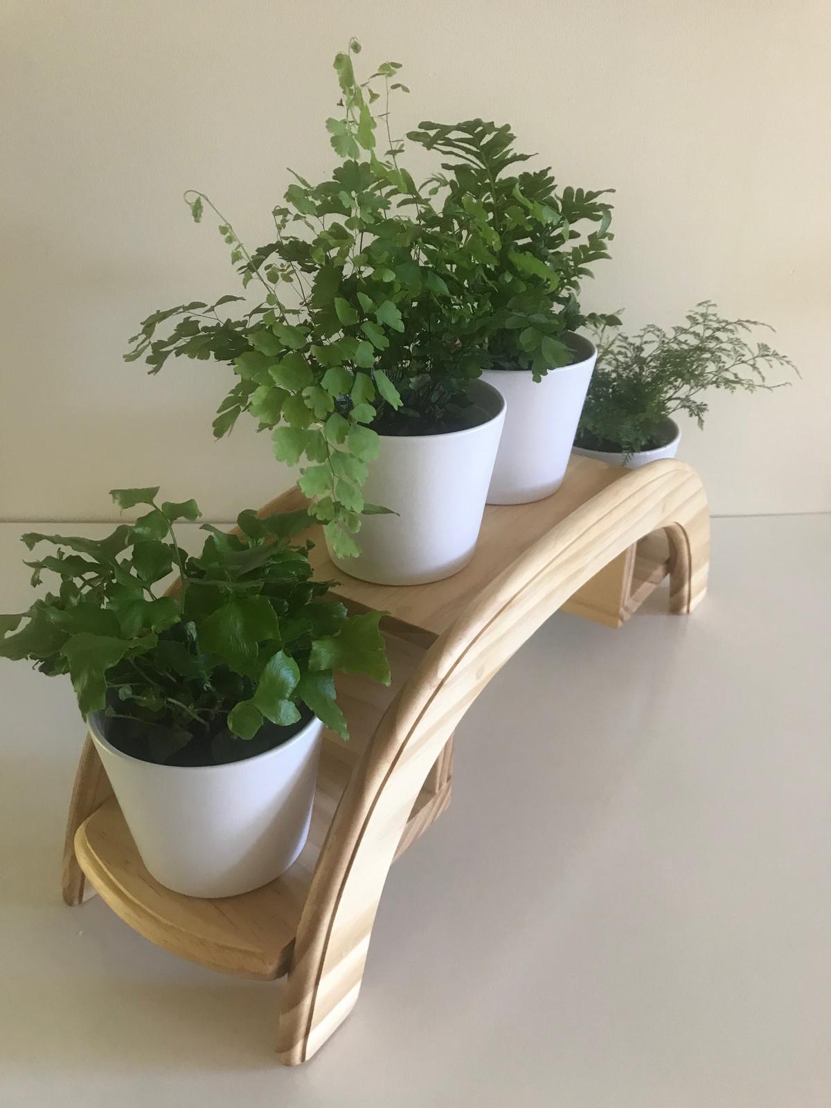 Wooden plants, cakes and foods stands, shelves and multifunctional pieces