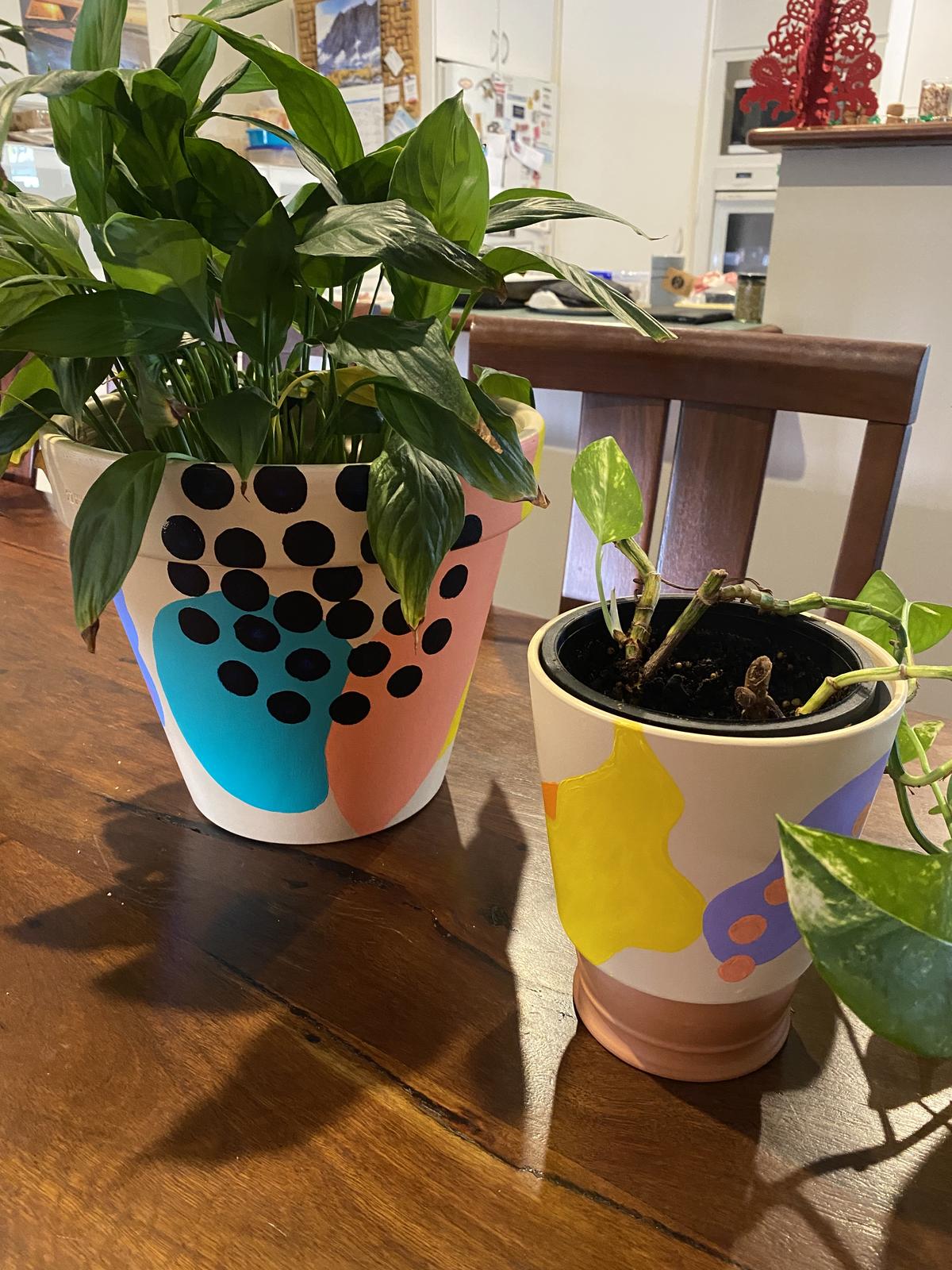 Hand painted pots