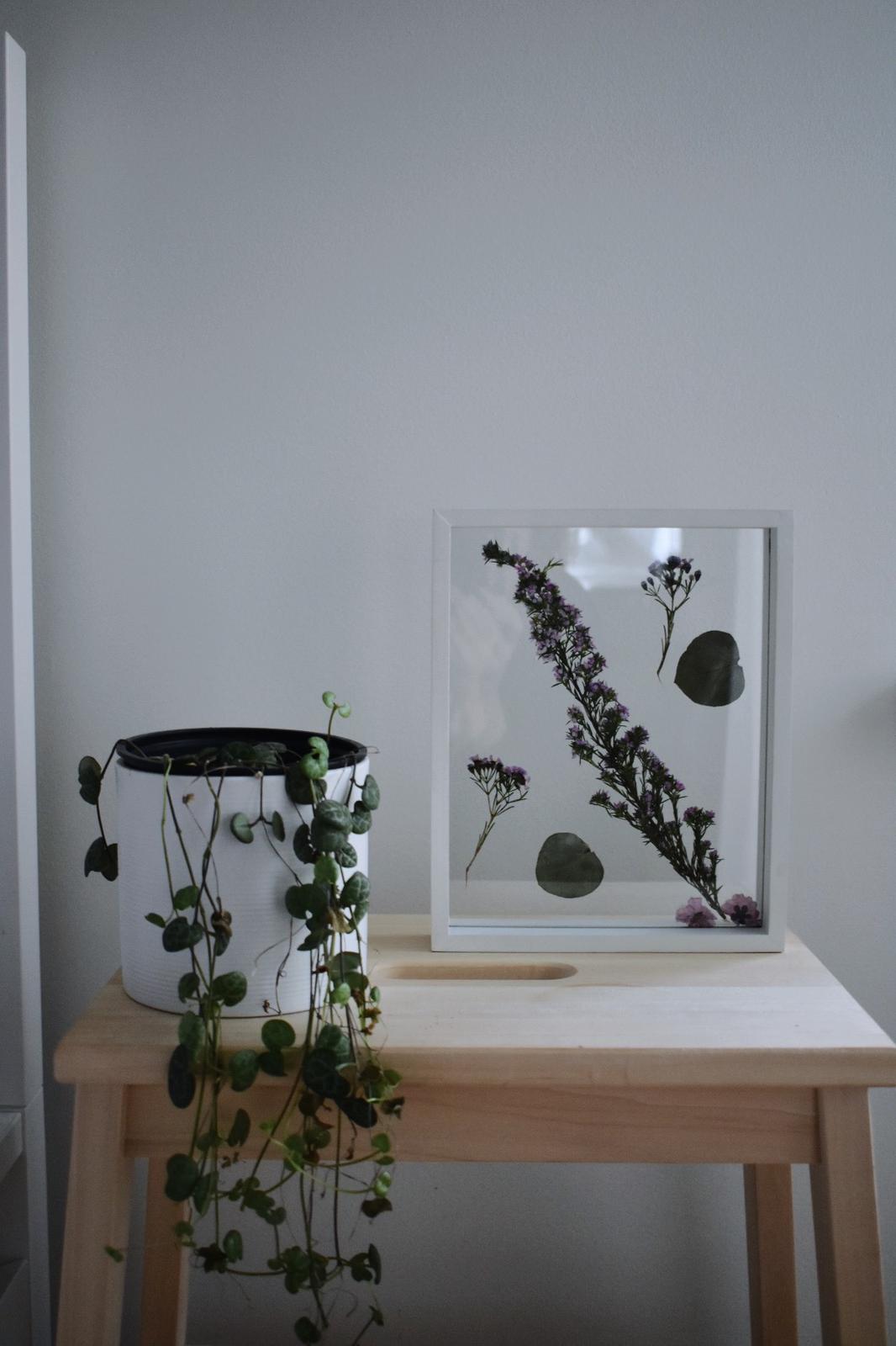 White frame, Mixed design