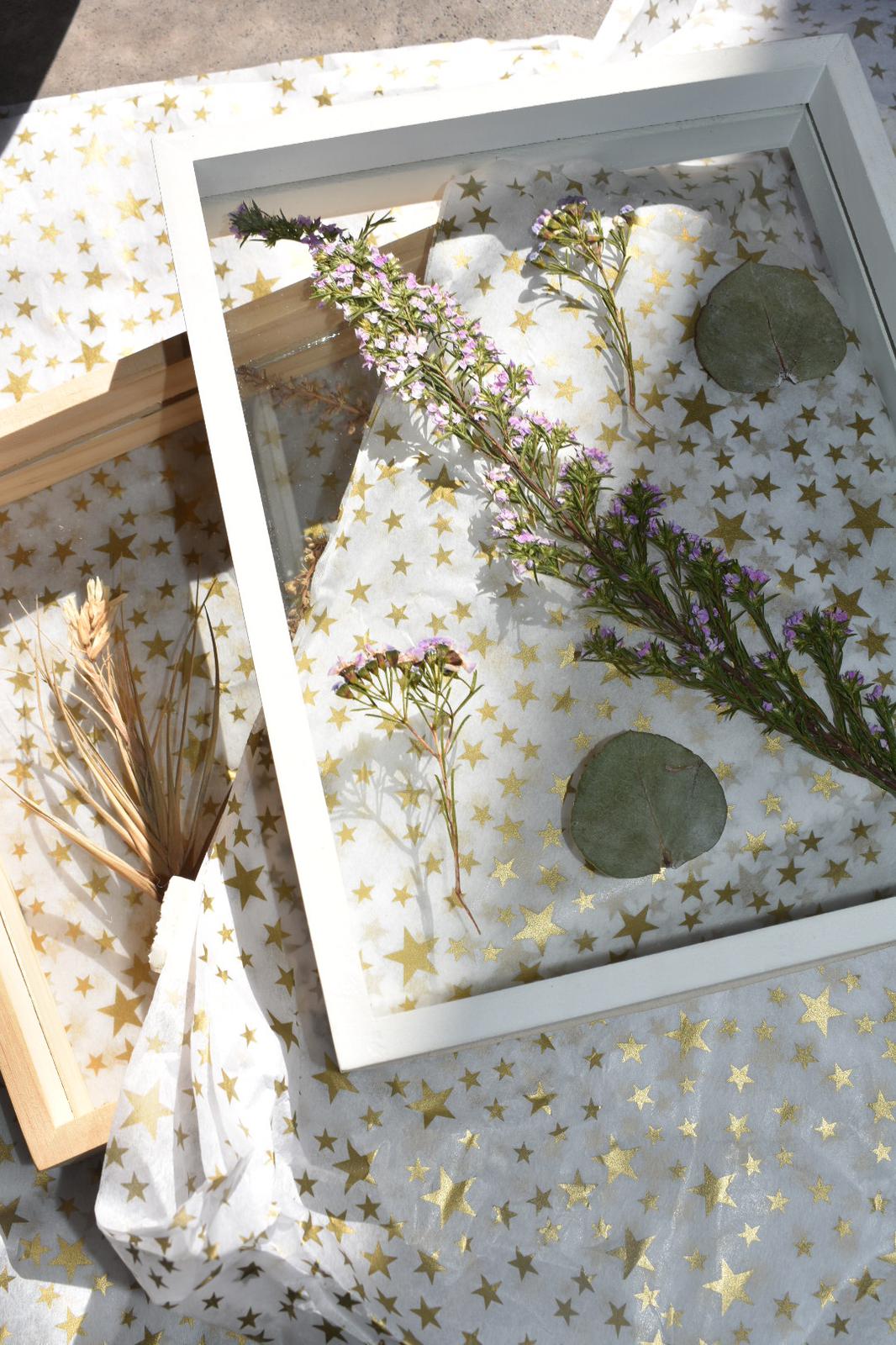 Stacked frames