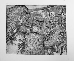 Prints by Olivia