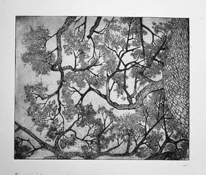 Prints by Olivia
