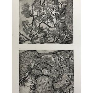Prints by Olivia