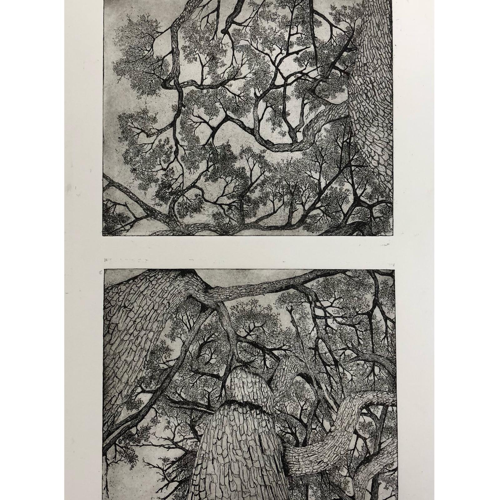 Tree Series