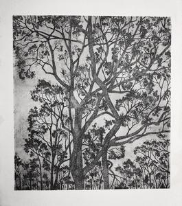 Prints by Olivia