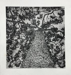 Prints by Olivia