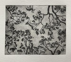 Prints by Olivia