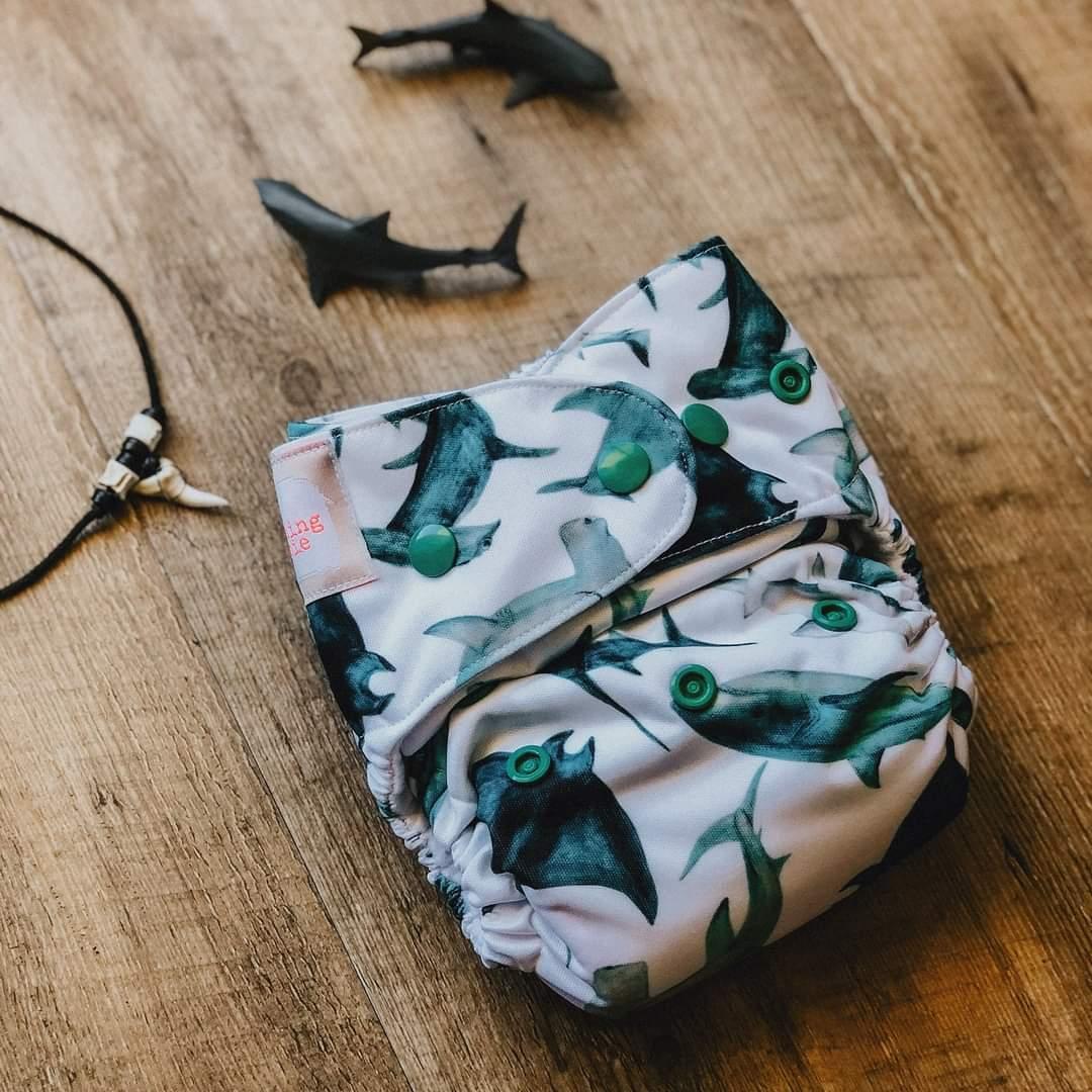 Modern Cloth Nappy