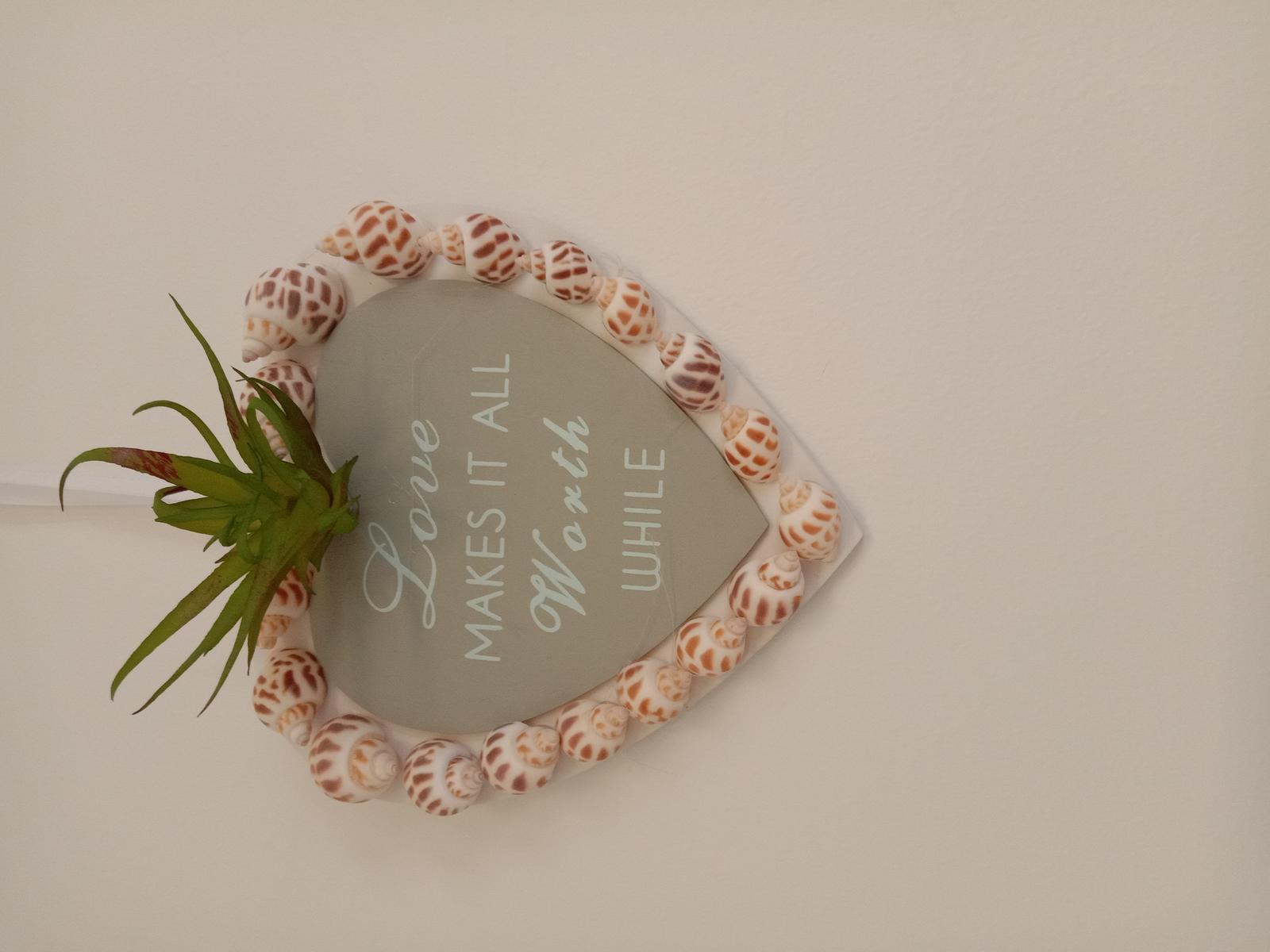 Seashell and succulent plaque