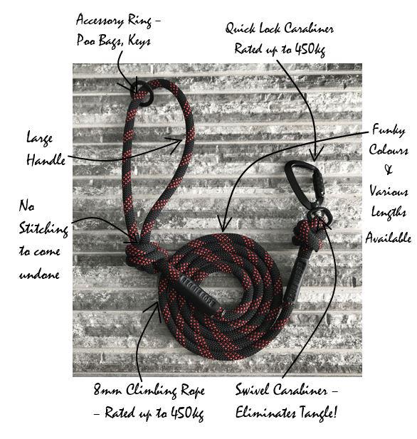 Key Features