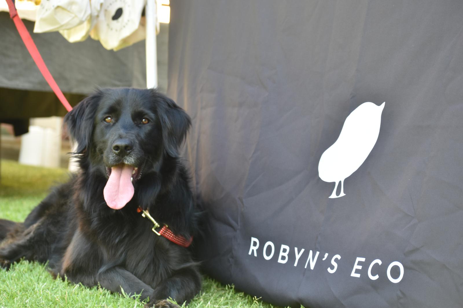 Safe for all the family - Robyn's Eco cleaning products