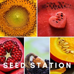 Seed Station