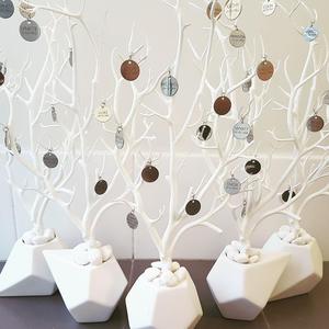 Silver Willow Family Trees