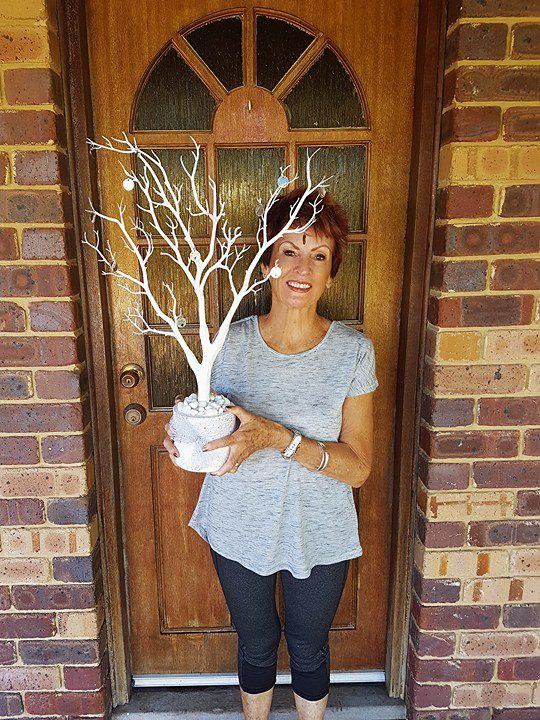 Silver Willow Family Trees