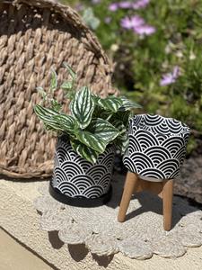 Soap & Twine