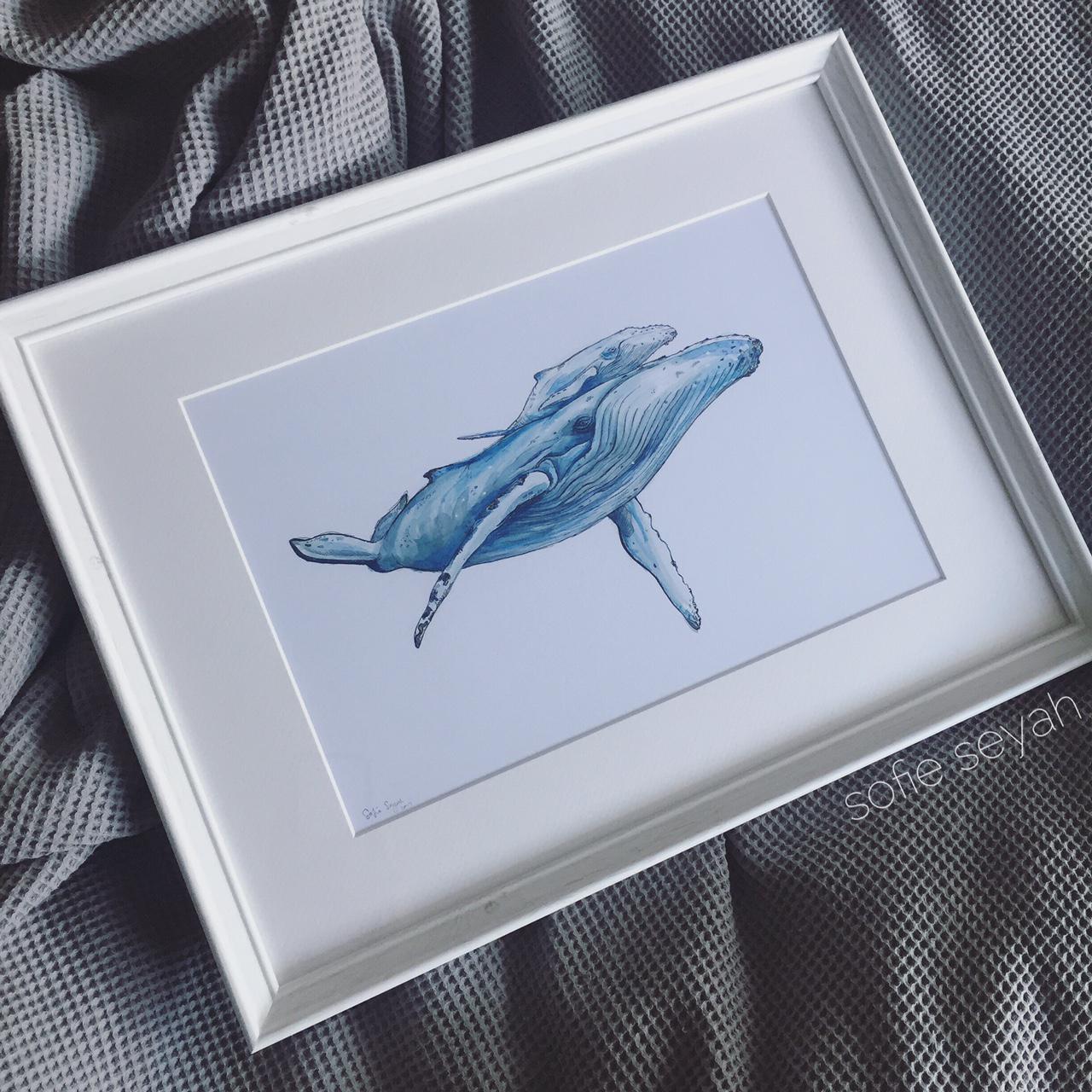 Humpback whales